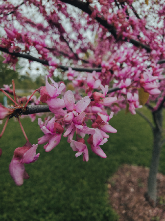 Facebook - log in or sign up thumbnail