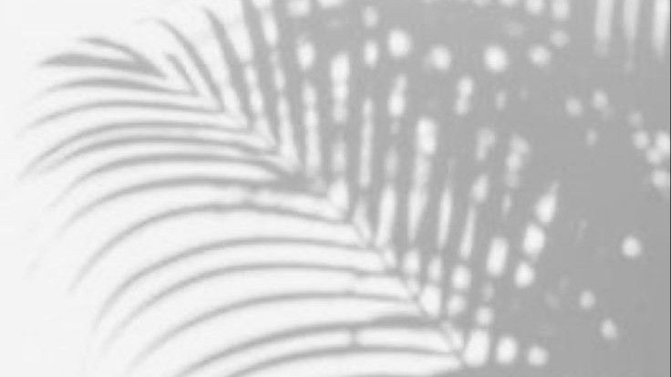 BioSite banner for @fernanda