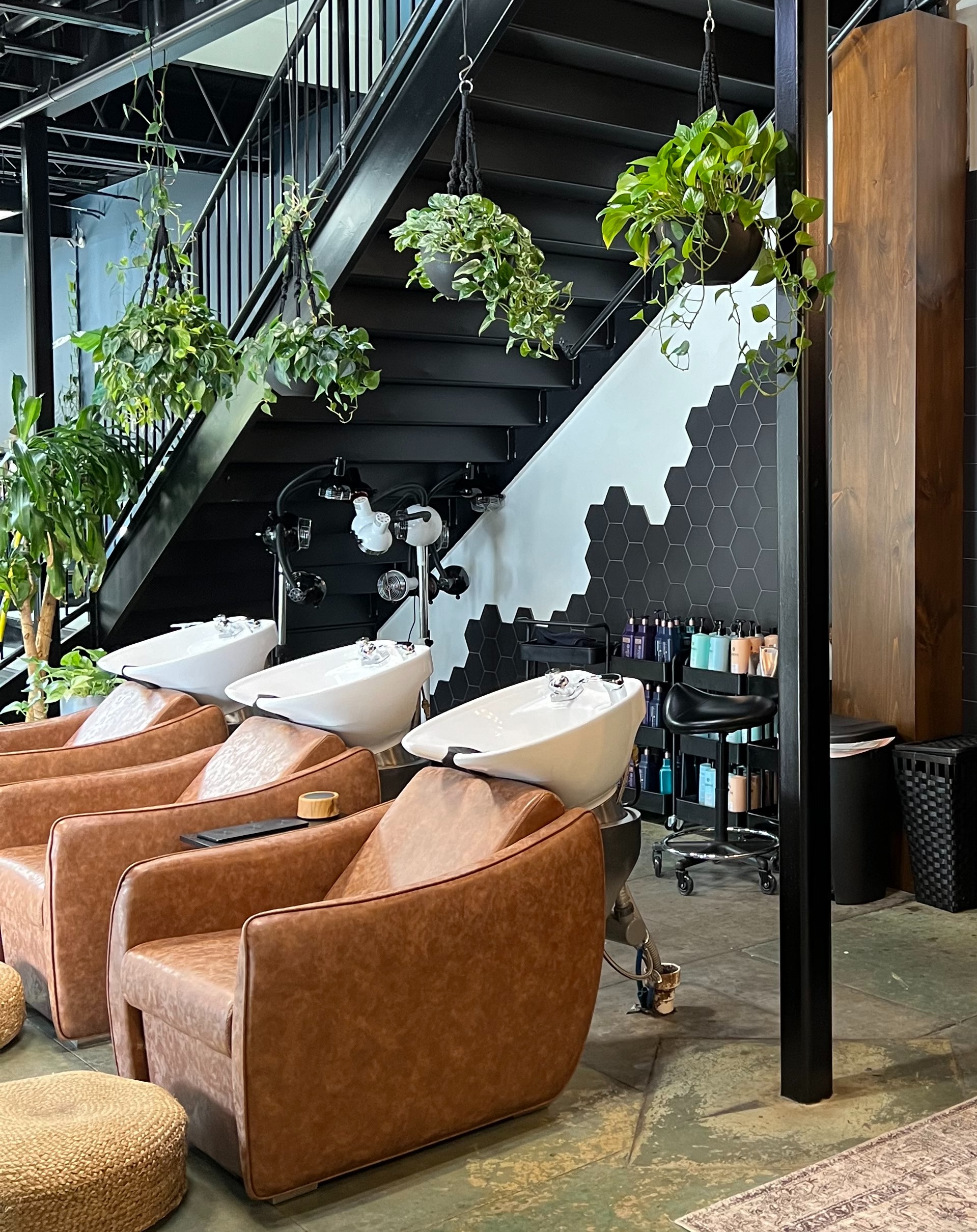 Website (Learn More) thumbnail