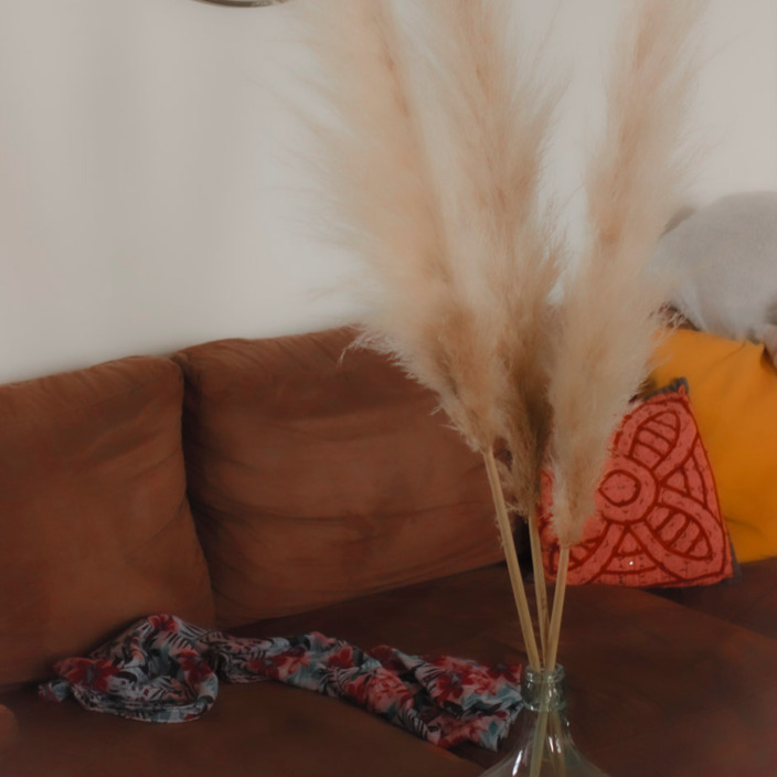 Accueil | Coralight thumbnail