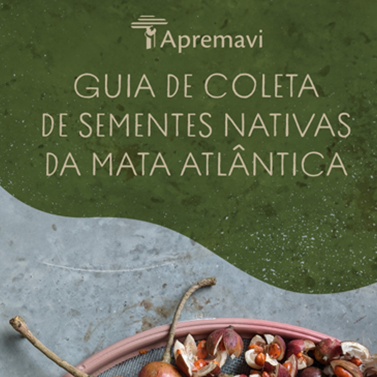 Guia de Coleta de Sementes da Mata Atlântica thumbnail
