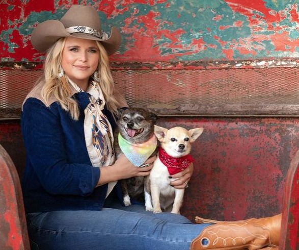 Support MuttNation Foundation  thumbnail