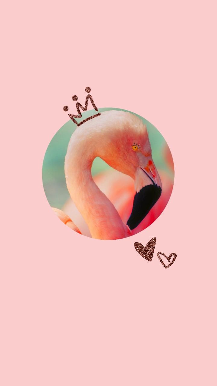 BioSite profile picture for @flamingo