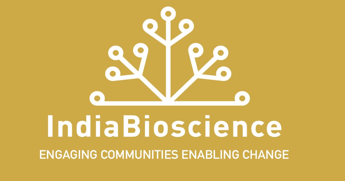 Blog Writer thumbnail