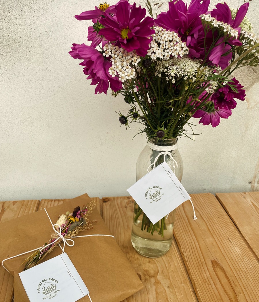 Vedi il catalogo thumbnail