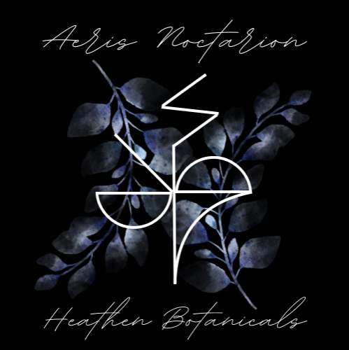 Aeris Noctarion - Substack thumbnail