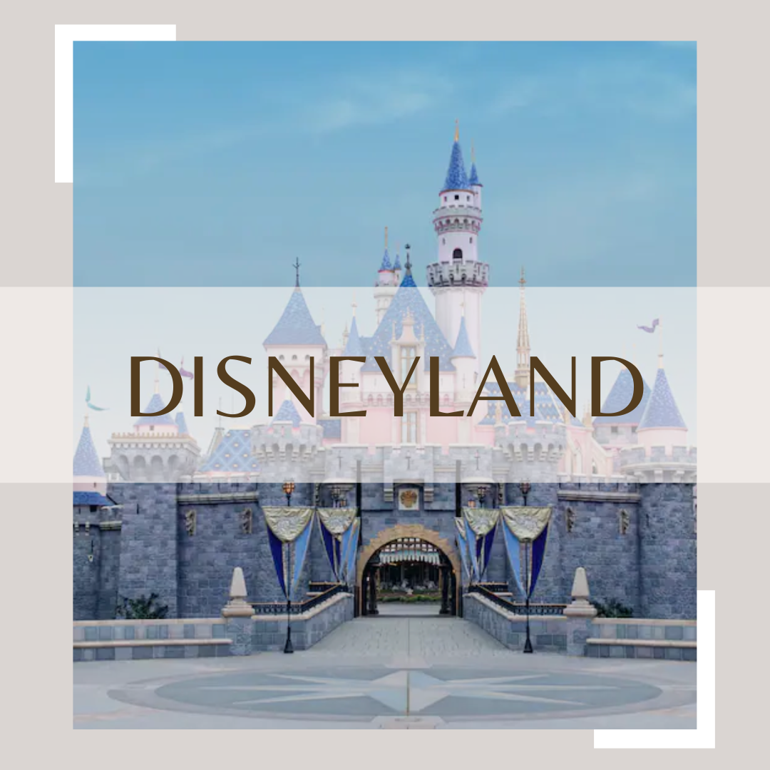 Disneyland booking form thumbnail