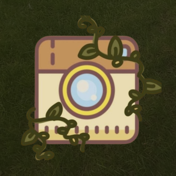 instagram ↟  thumbnail