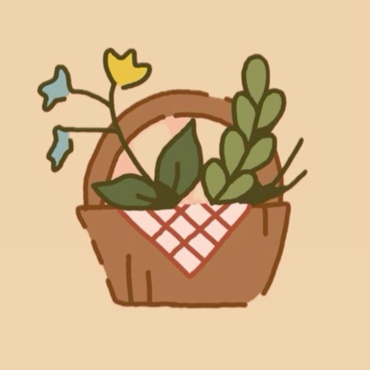 shop my favorites thumbnail