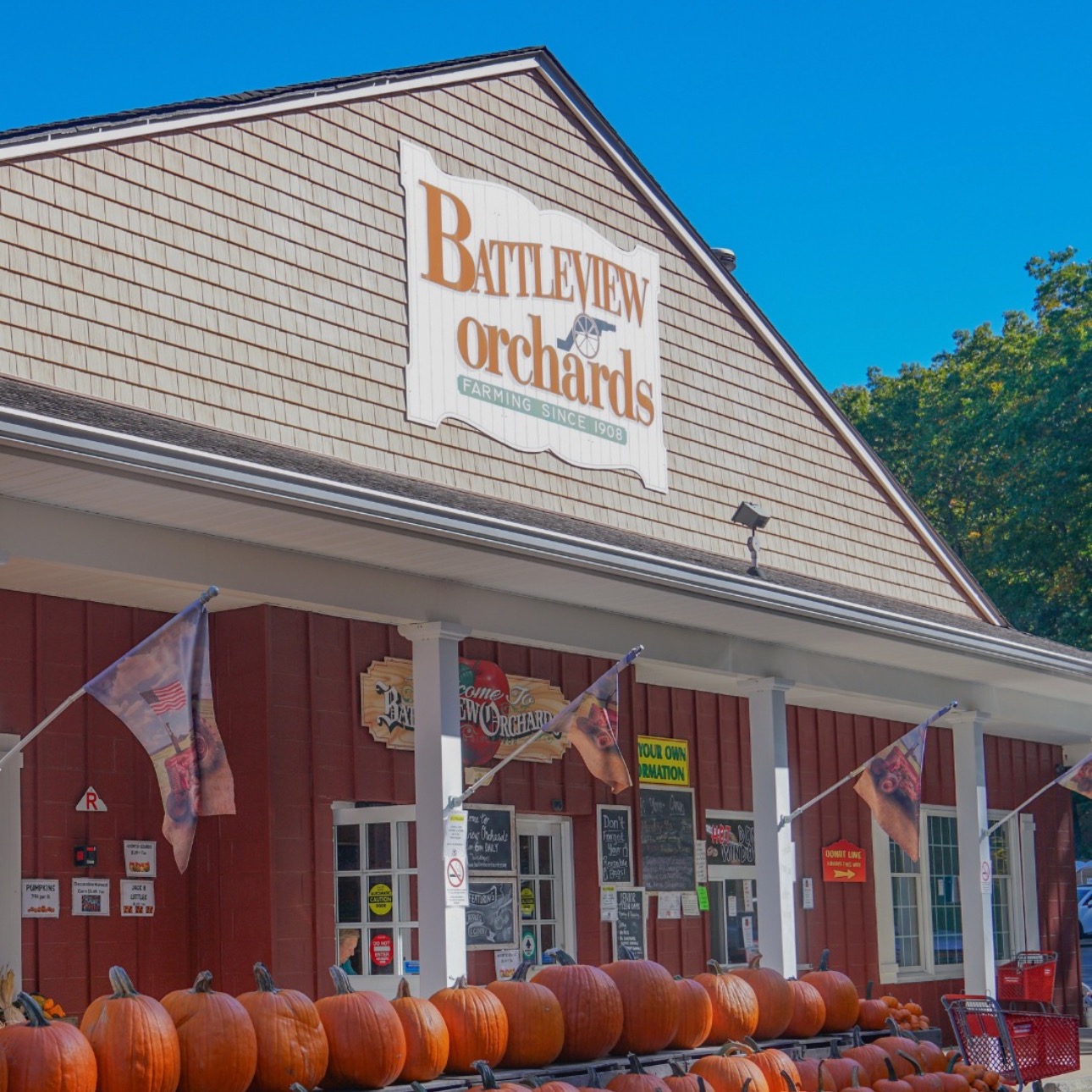 Battleview Orchards - Best Apple Cider Donuts in NJ!  thumbnail