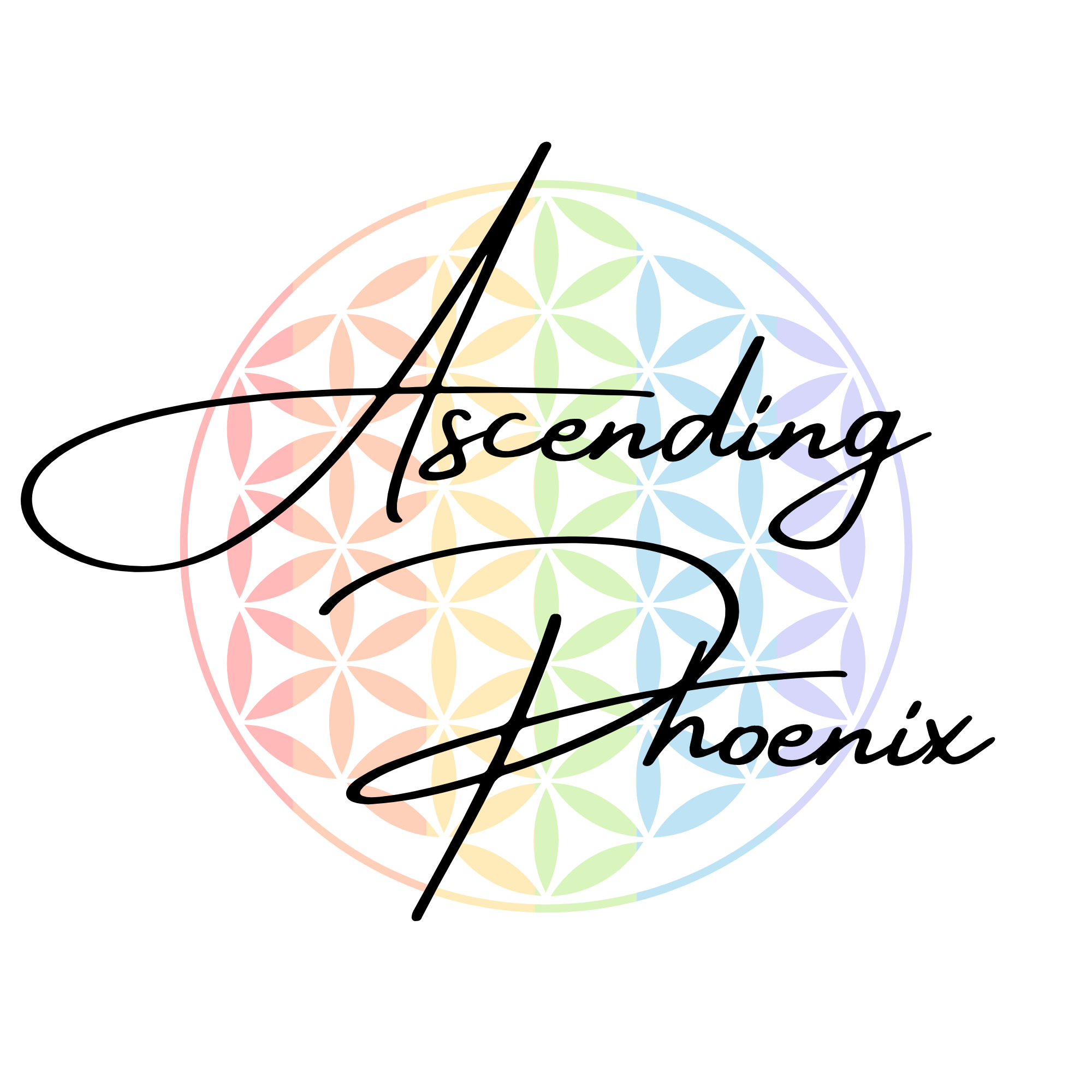 About Paige Hook | Ascending Phoenix thumbnail