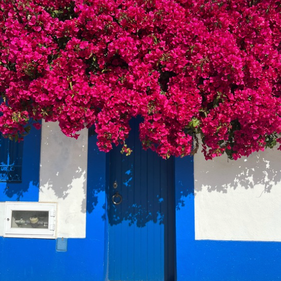 Apr 22-29 - Relax in Portugal thumbnail