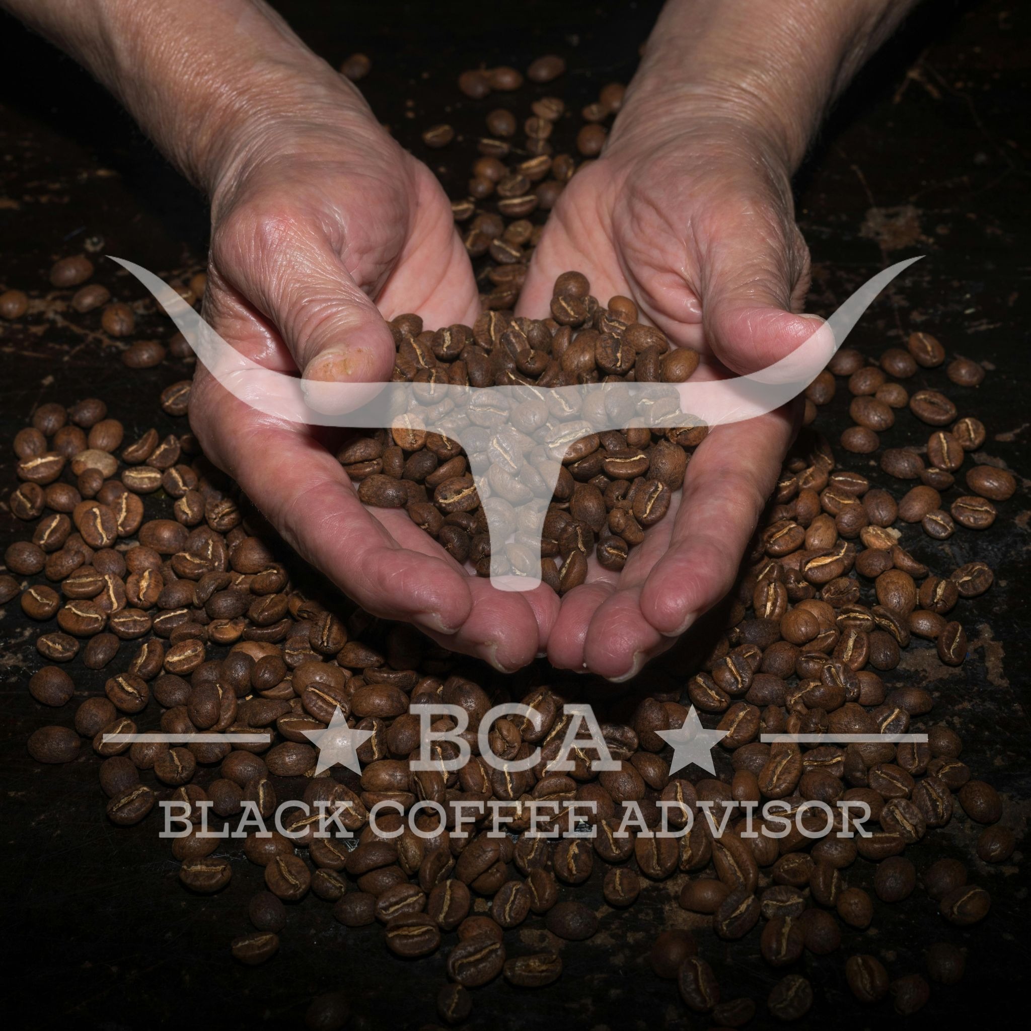 ★ Logística  thumbnail