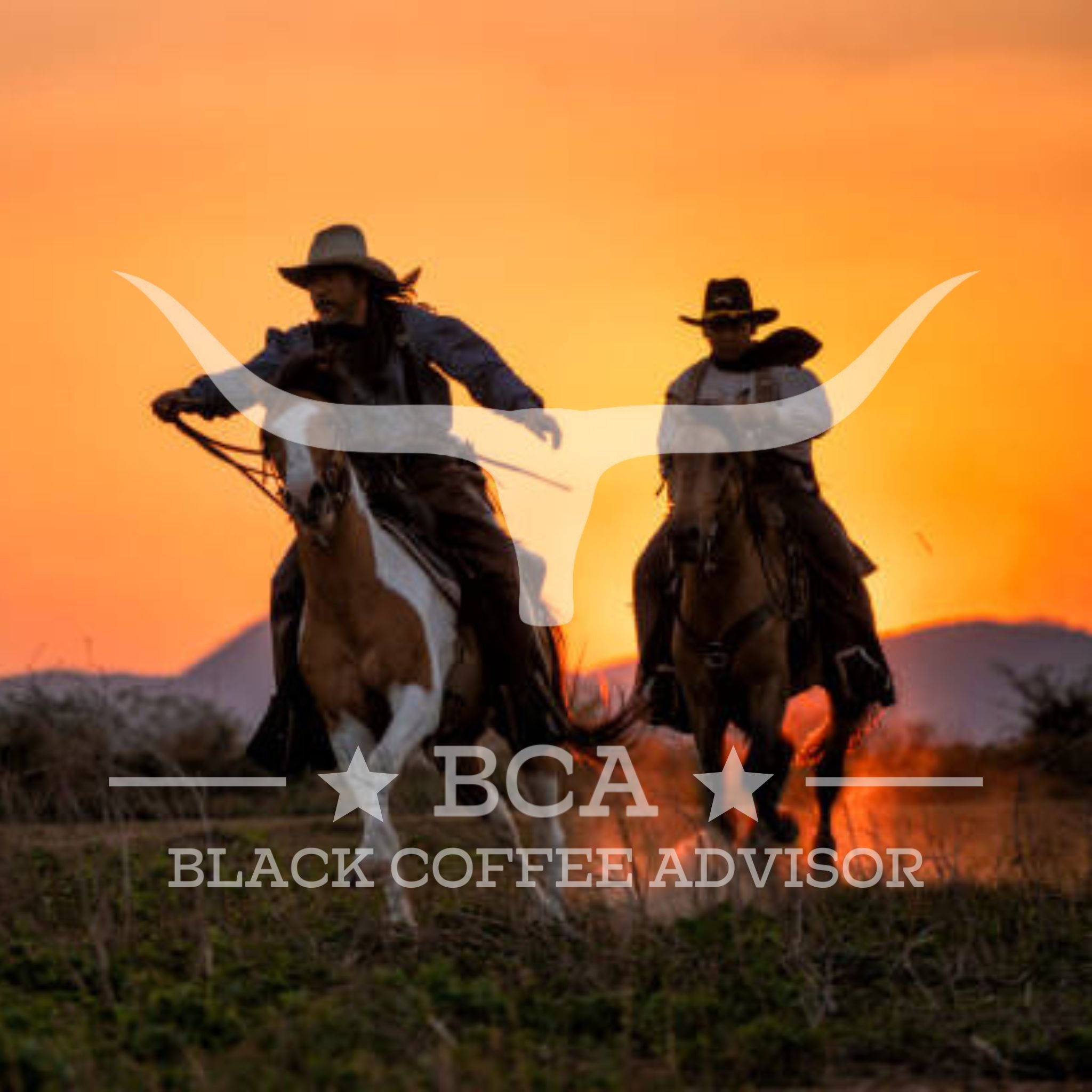 ★ BCA on VERO™ thumbnail