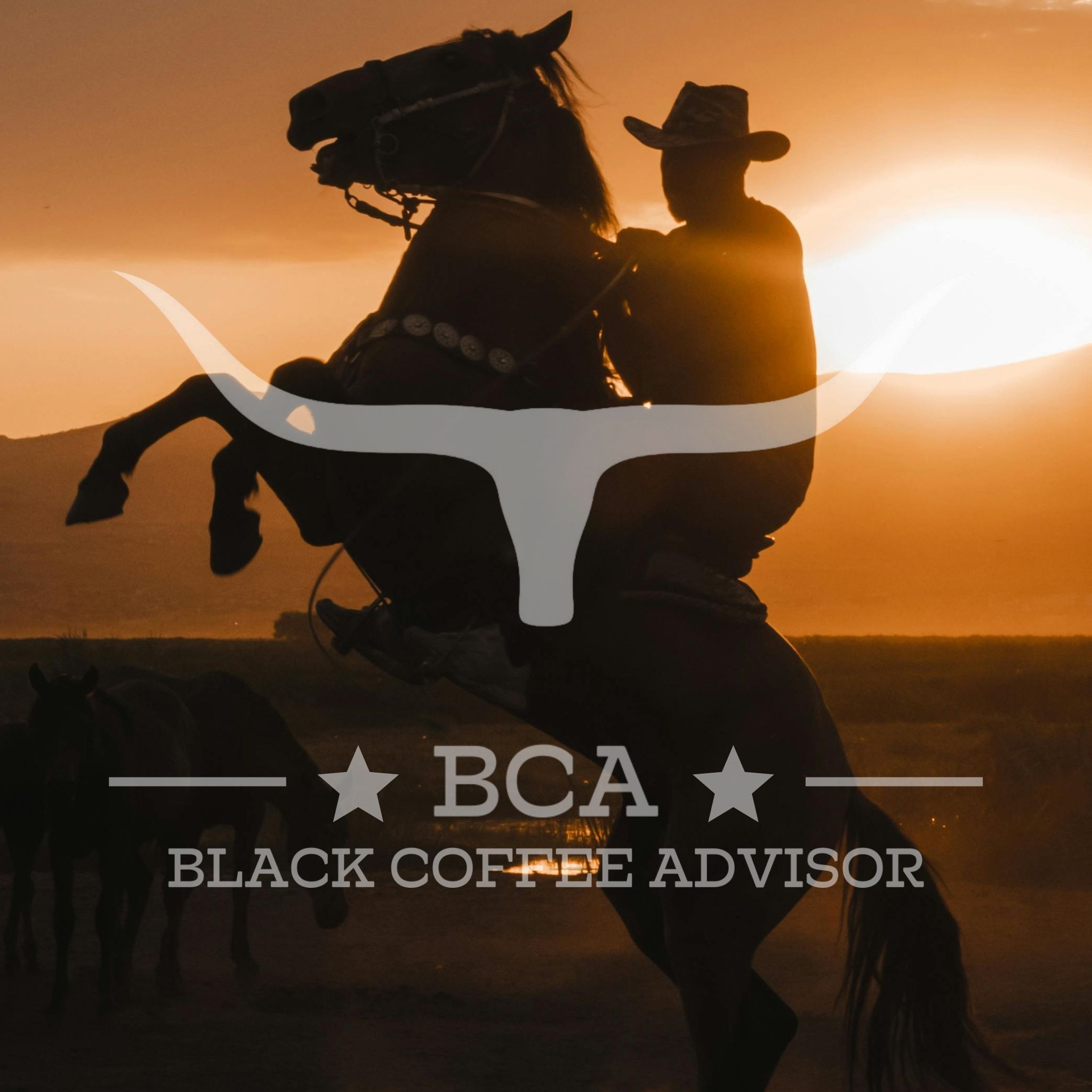 ★ Catación de Café  thumbnail