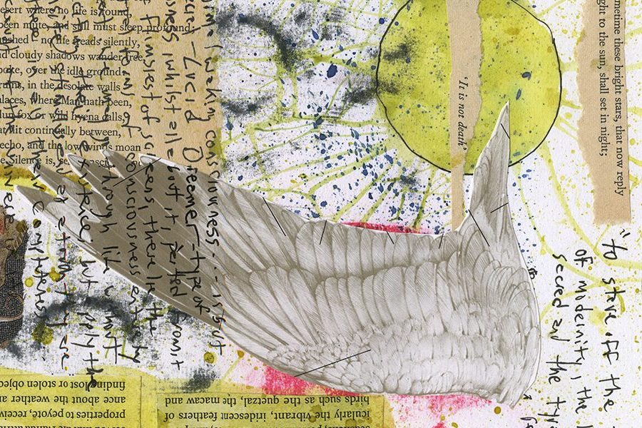 * JOURNALISM * JEFF YOUNG’S WILD TWIN REVIEWED AT TRIBUNE thumbnail