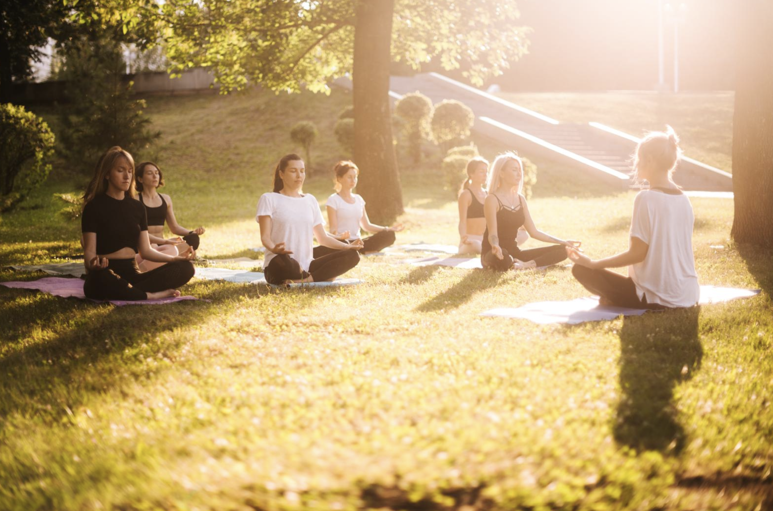 Saturday Free breathwork & meditation Battersea Park thumbnail