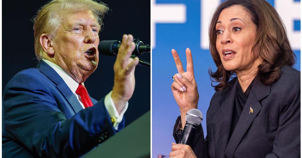 The Trump era’s big beautiful gender reveal thumbnail