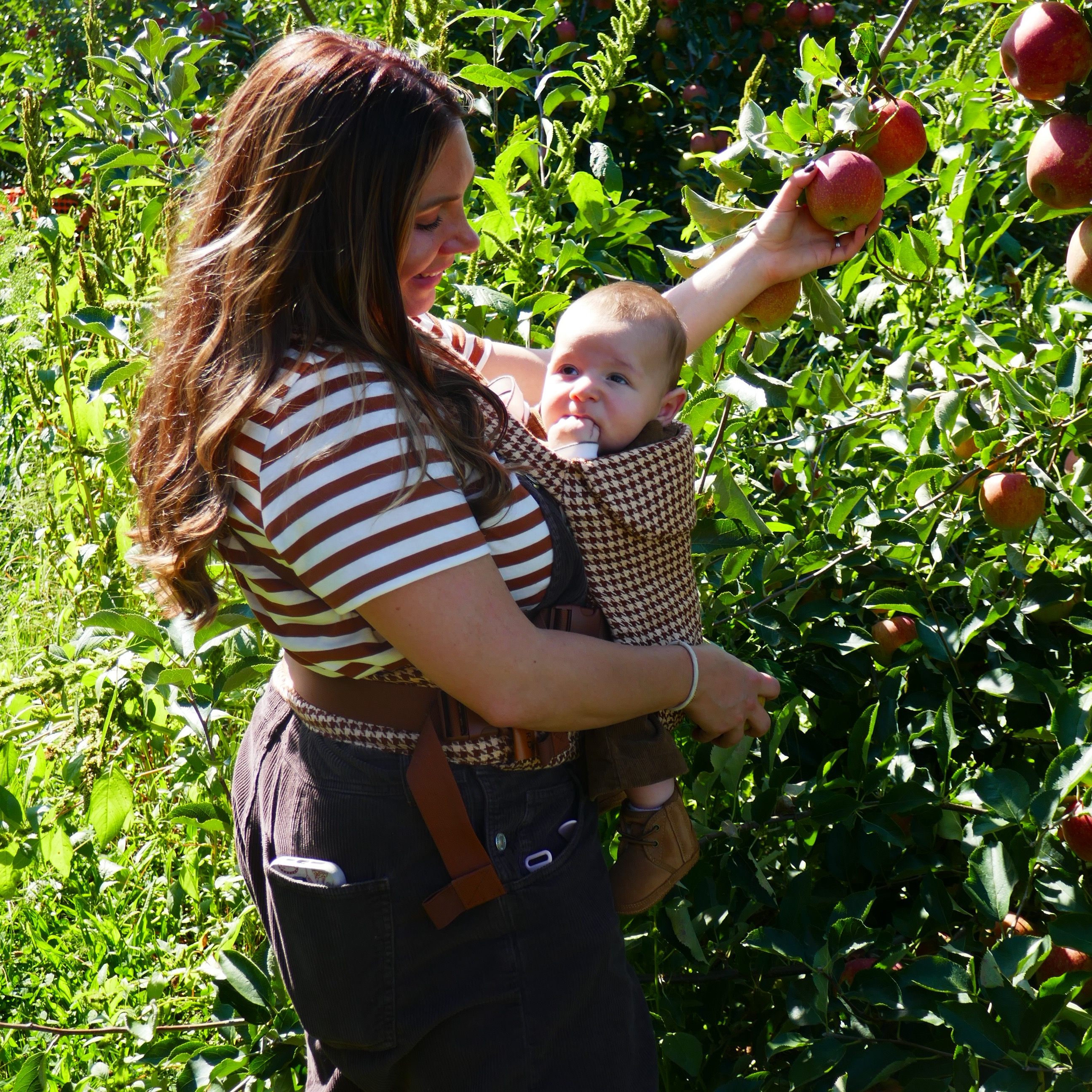 WildBird Carrier (code: SABRINA23960) thumbnail