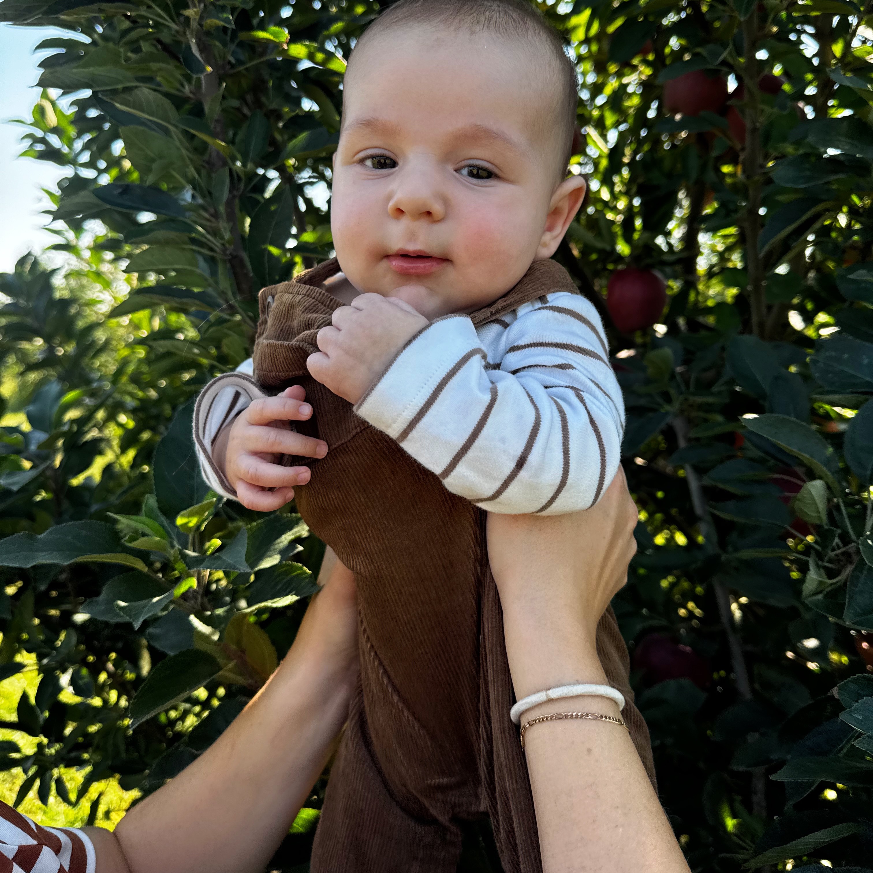 Colored Organics | (15% off with my link!) thumbnail