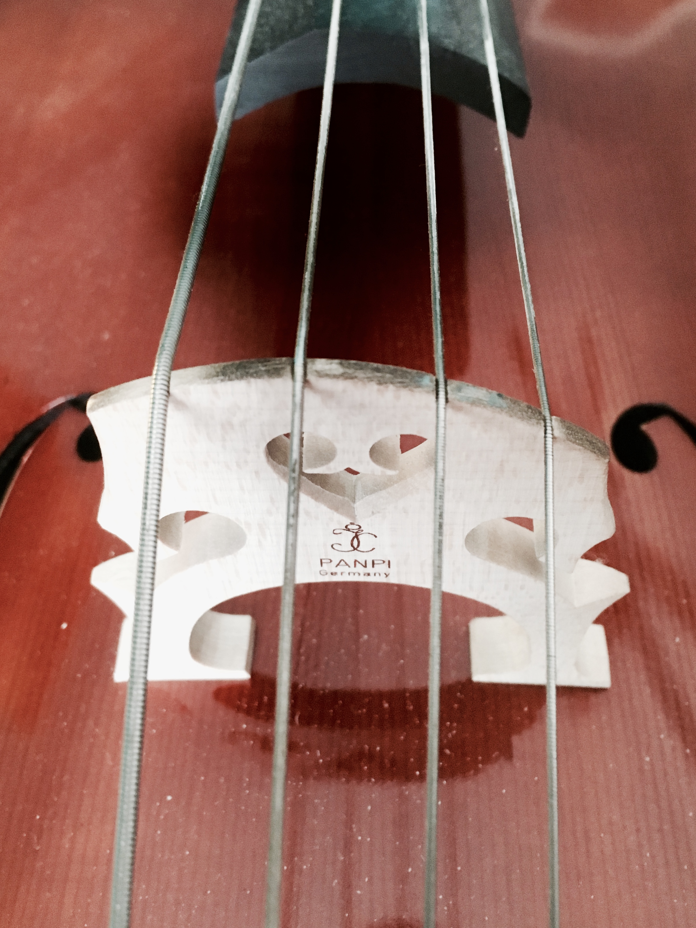 Website - Lots Of Info Here! 🤠🎶 thumbnail