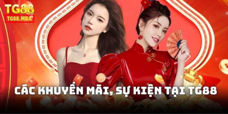 TG888 – Nhà cái cá cược uy tín, đăng ký thưởng 88K thumbnail