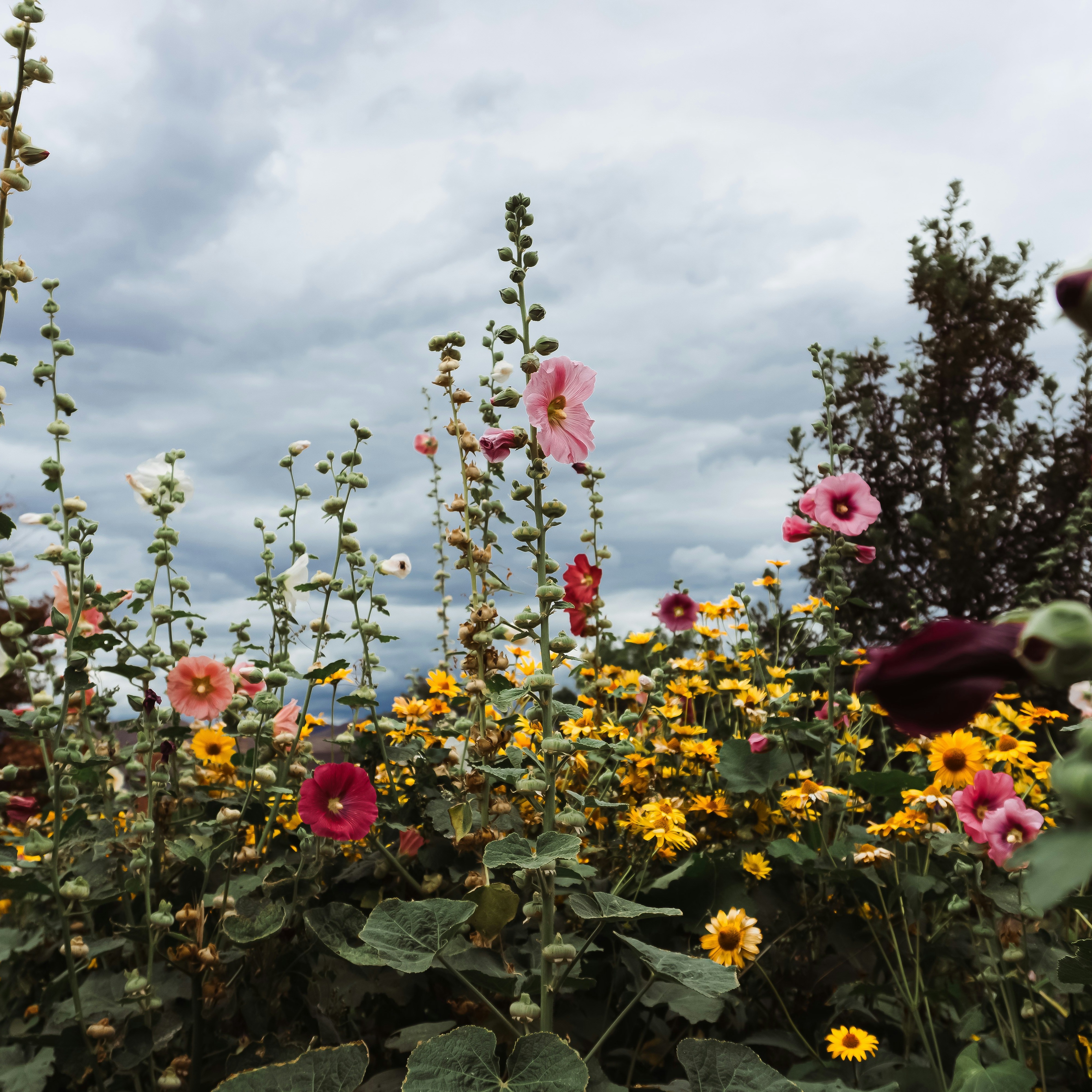 Cynthia Giovacchino Shares How Outdoor Activities Fuel Creativity  thumbnail