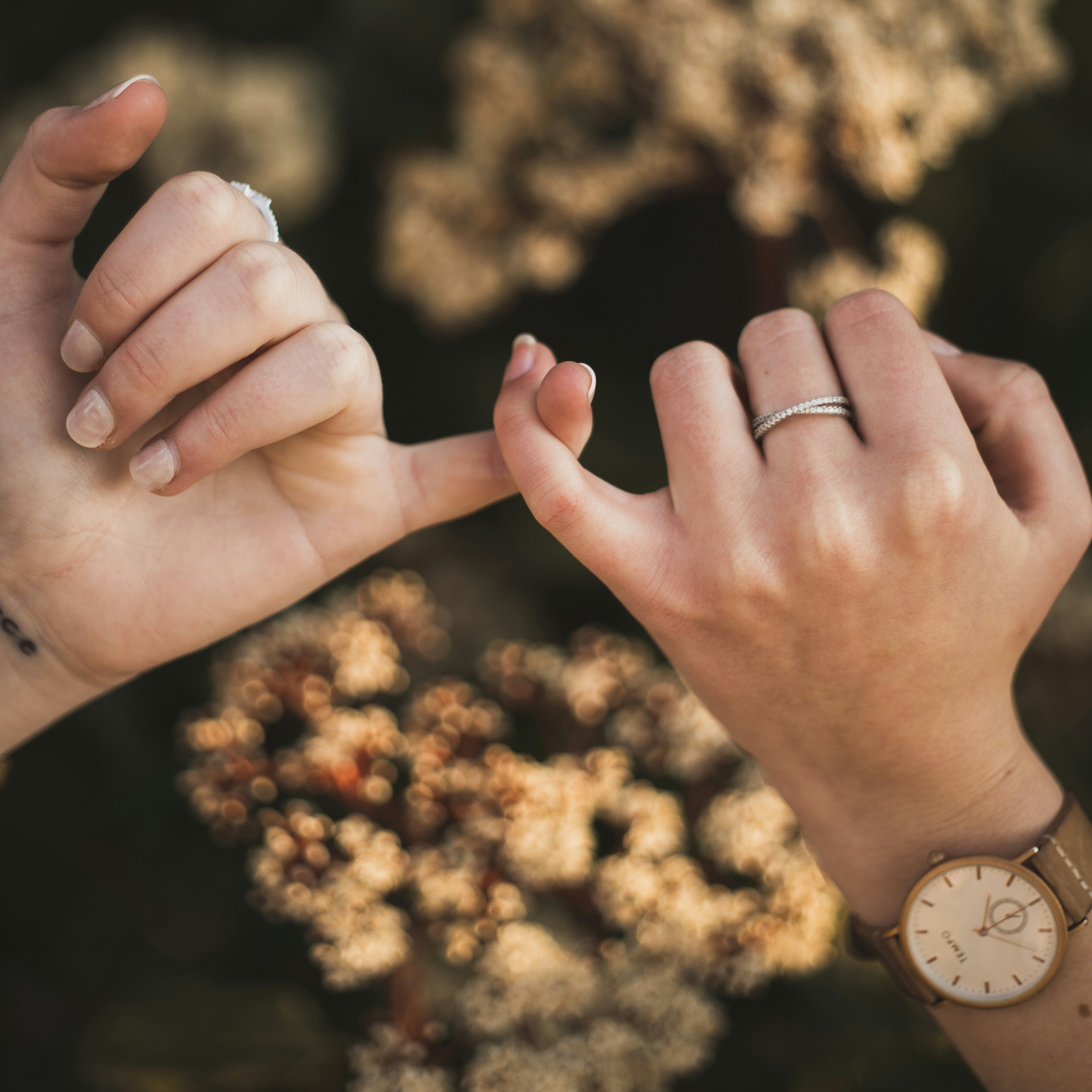 Lets Connect thumbnail