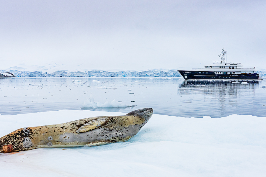 Monaco Summit Examines the Exploding 'Explorer' Yacht Market thumbnail