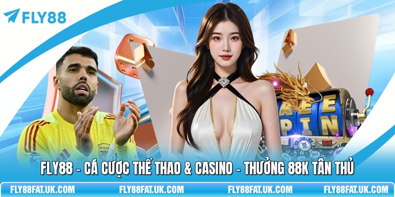 FLY88 thumbnail