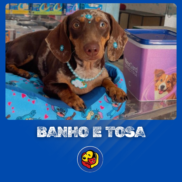 Fale conosco thumbnail