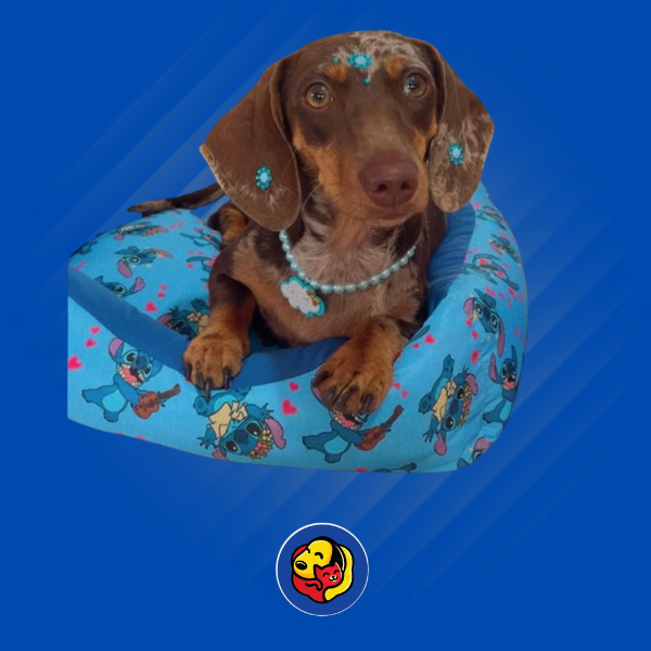 Fale conosco thumbnail