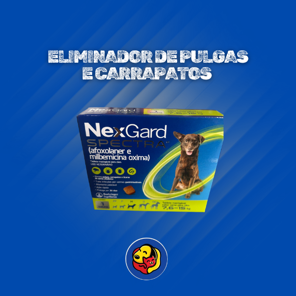 Fale conosco thumbnail