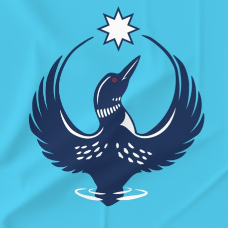 MN Loon Rising - XLarge Fabric thumbnail