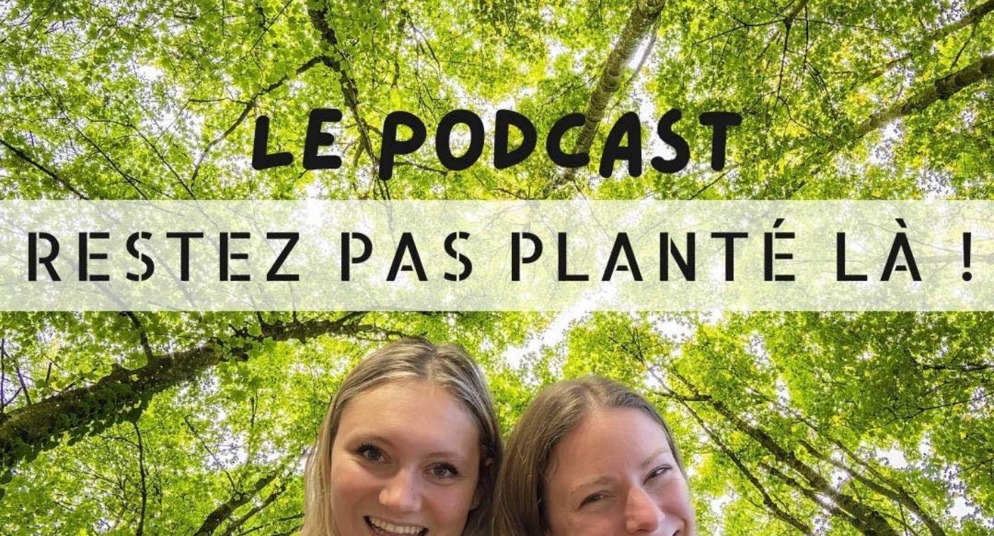Restez pas planté là ! Le podcast | Restez pas planté là ! thumbnail