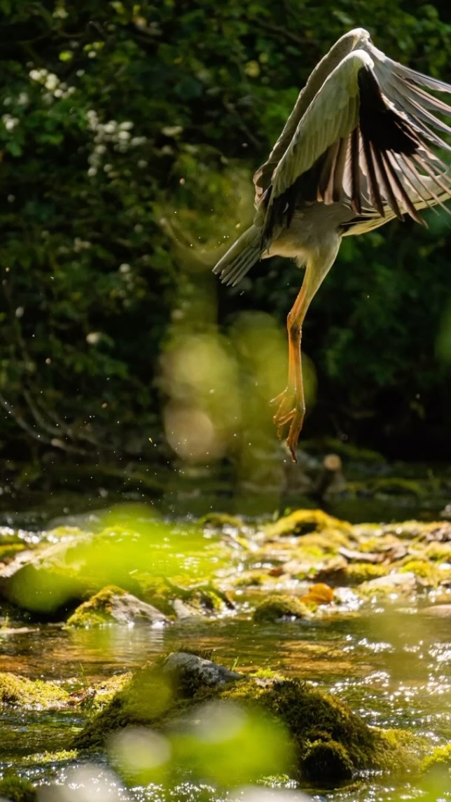 Never leave a camera behind…