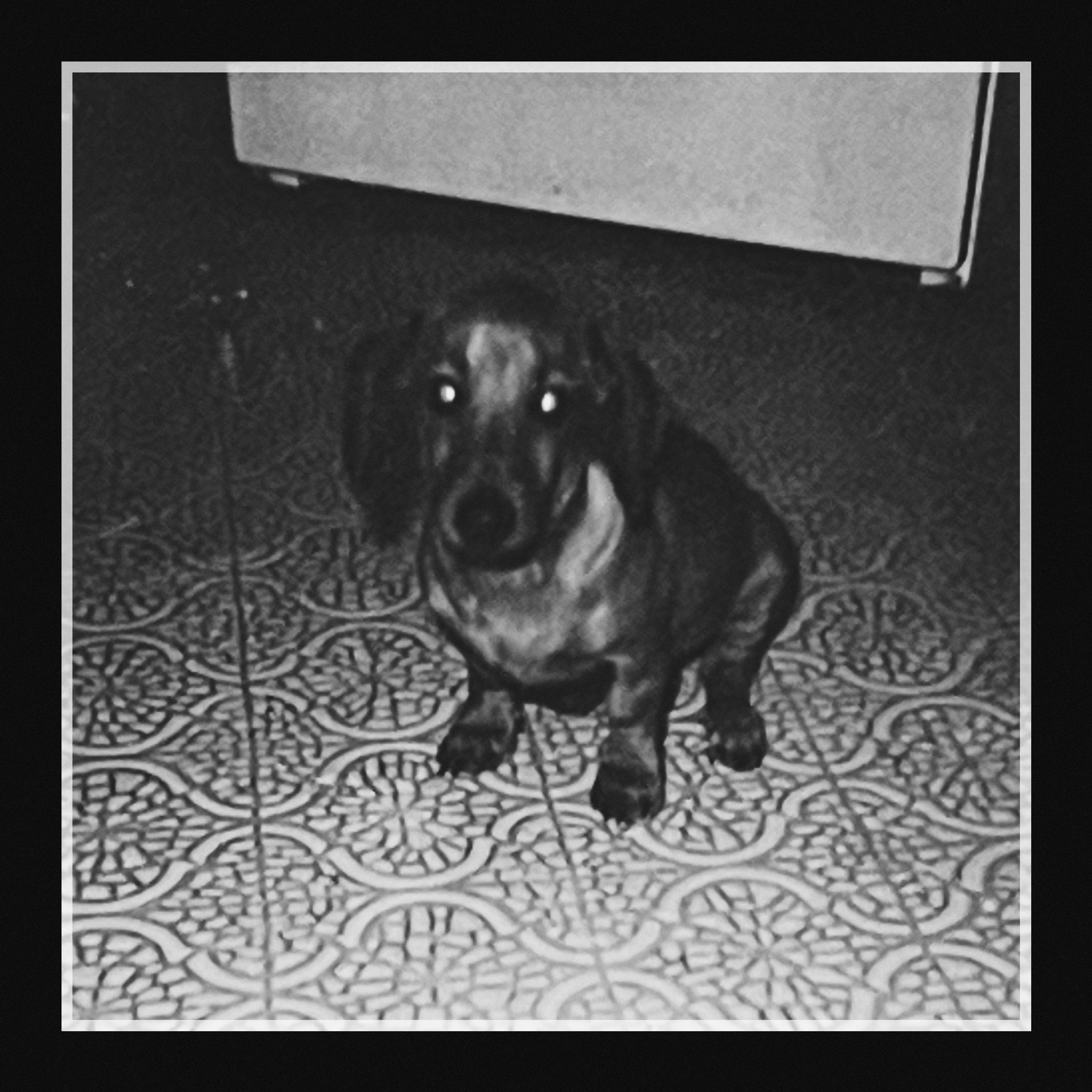 reminiscence (apple music) thumbnail