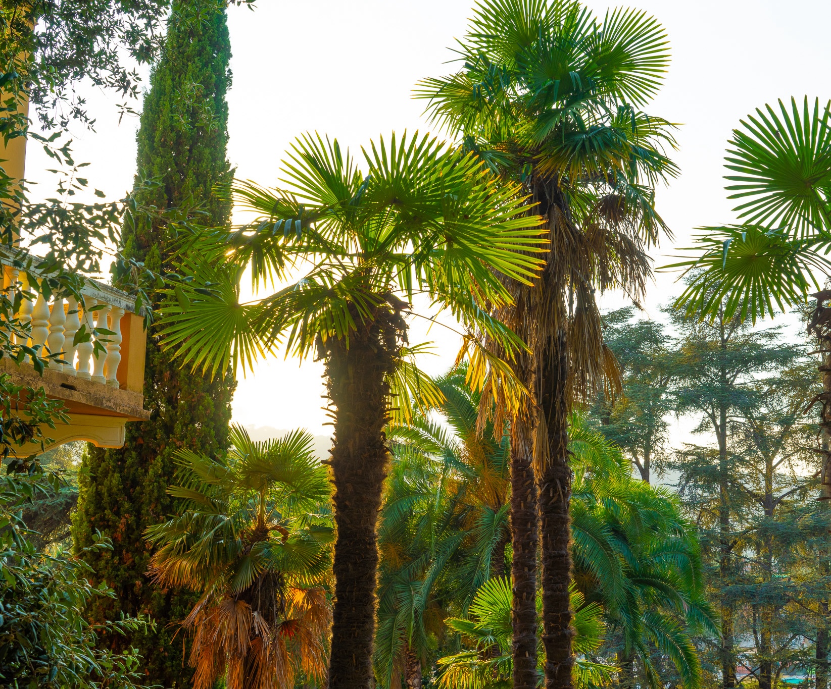 Santa Margherita Ligure thumbnail