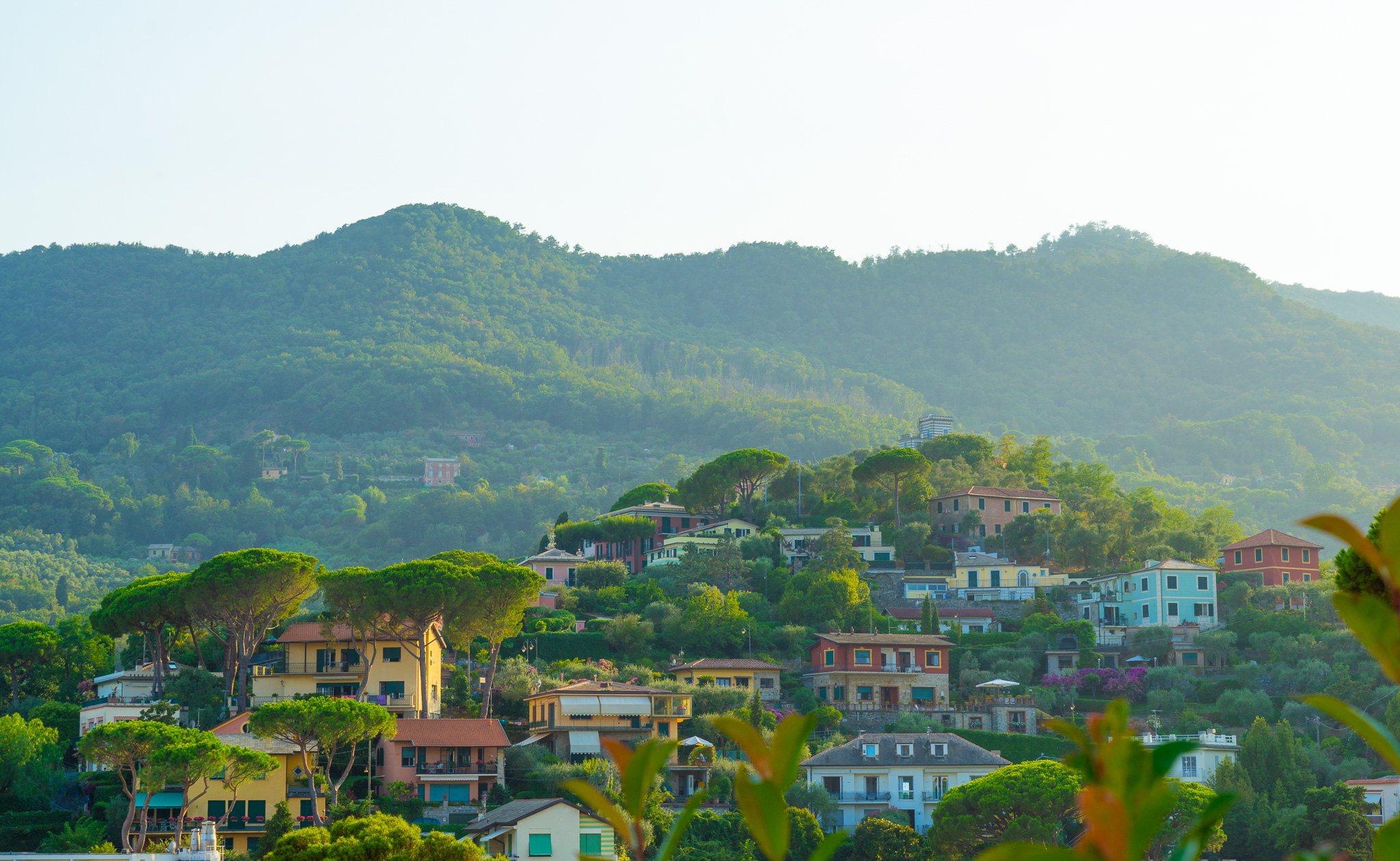 Santa Margherita Ligure thumbnail