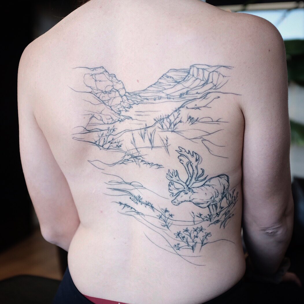Healed up landscape. Done last year. :)