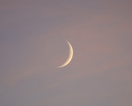  Lyft & Folde | Seasonal blessings, shaped by sky and earth. thumbnail