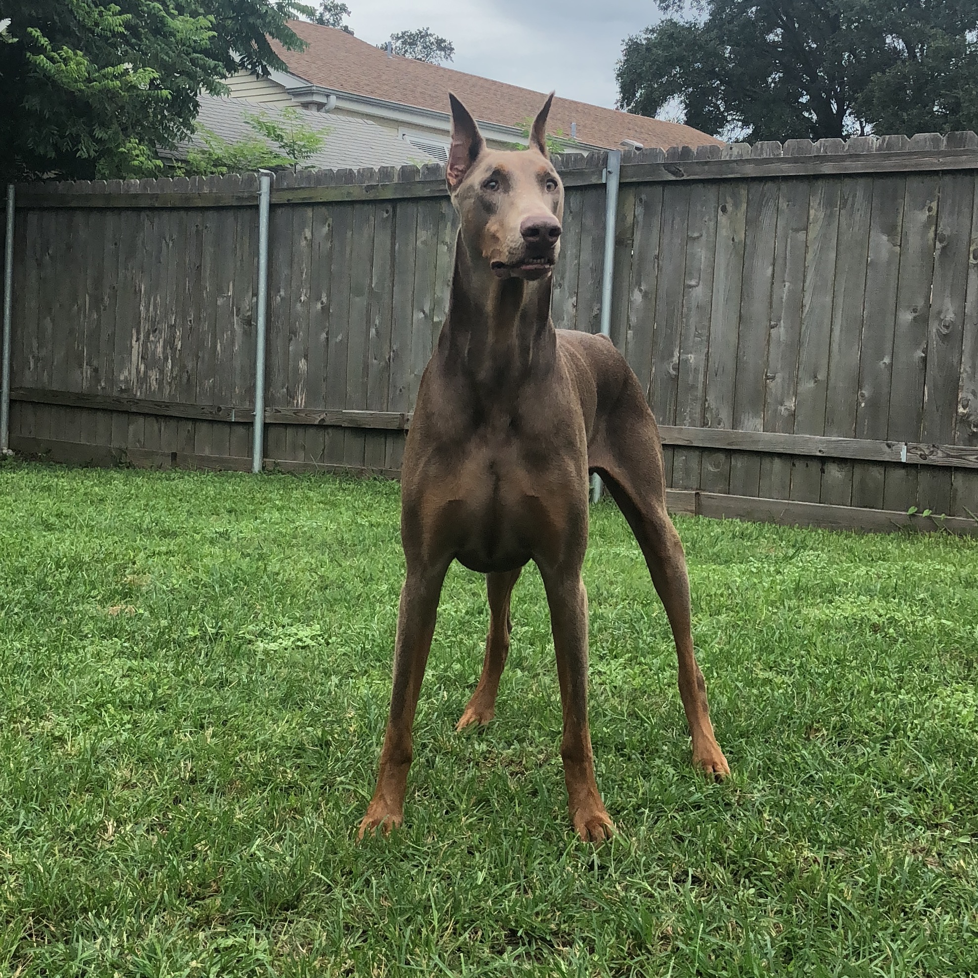 Schedule with Bree thumbnail