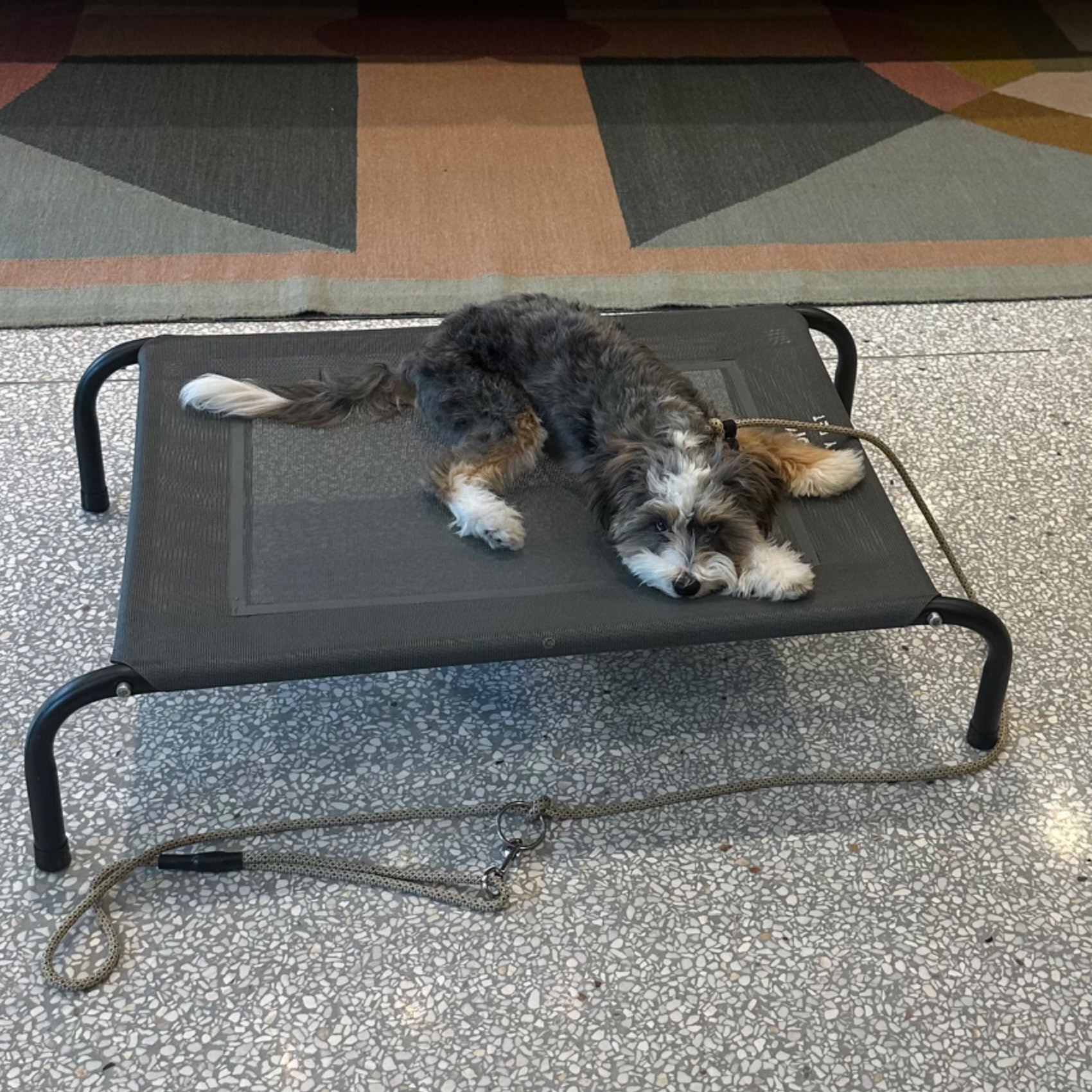 Book an appointment with me