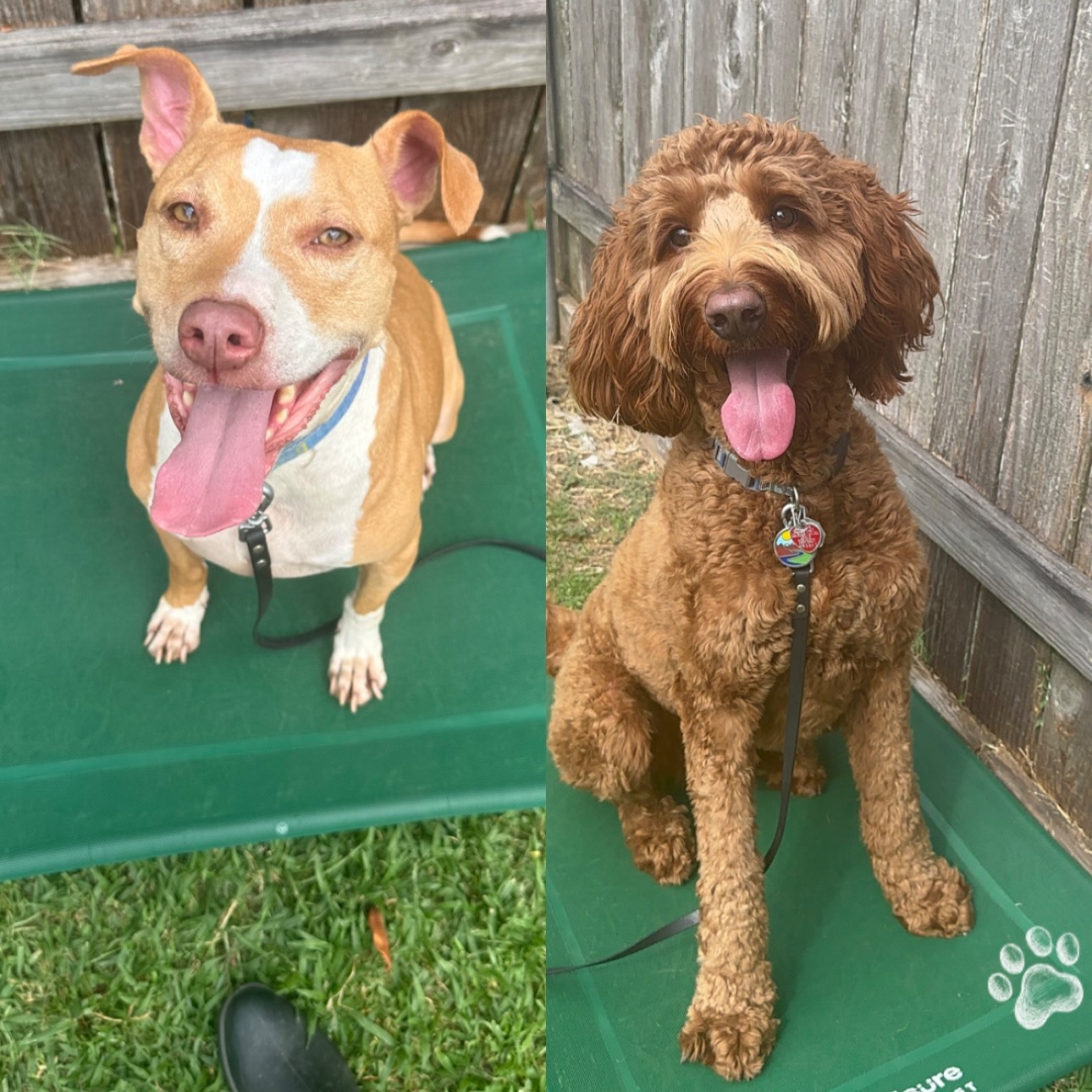 Shop with Bree thumbnail