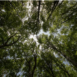 Achats durables thumbnail