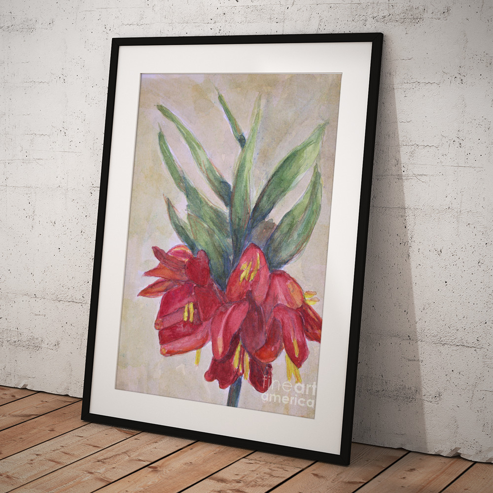 Fritillaria Flowers Framed Print by Elizabeth Mayoleth thumbnail