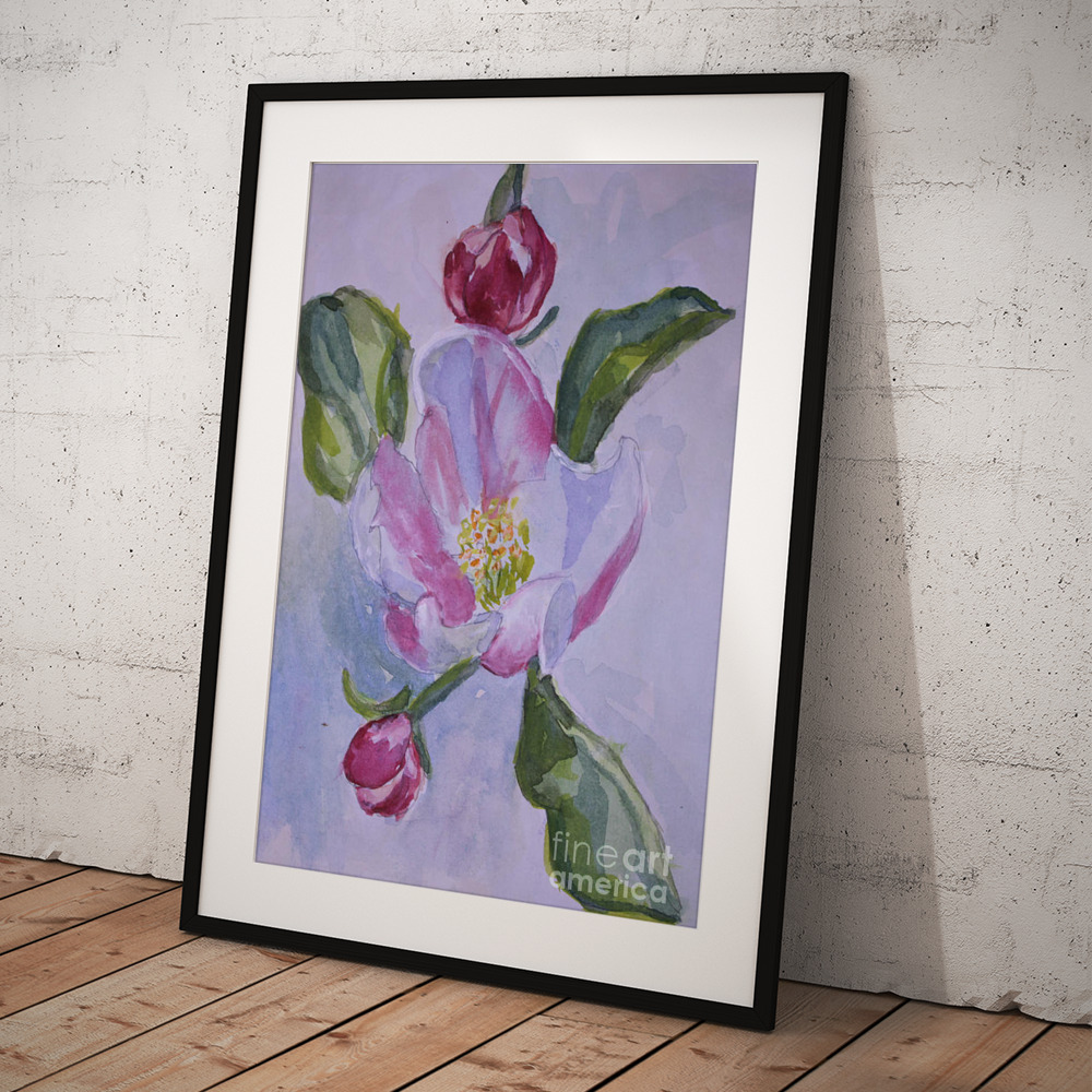 Apple Blossoms Framed Print by Elizabeth Mayoleth thumbnail