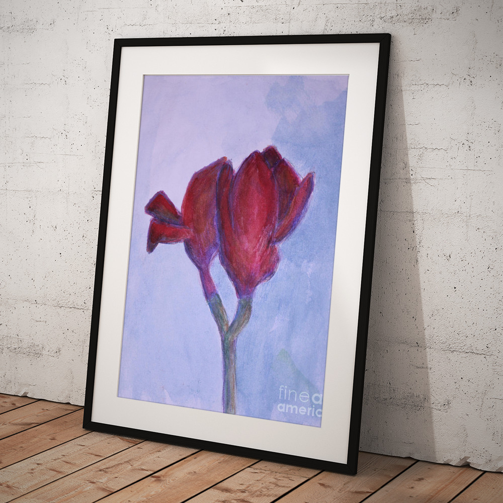 Freesia Blooming Framed Print by Elizabeth Mayoleth thumbnail