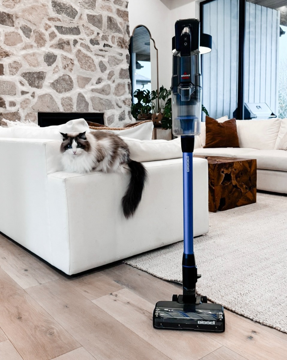 Grab your Bissell PowerClean FurFinder! thumbnail