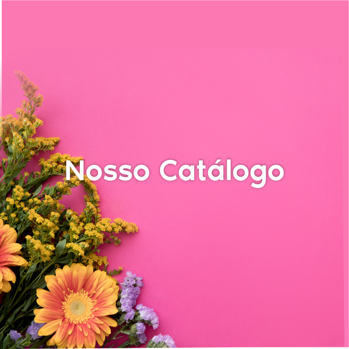 Floricultura ju flores thumbnail